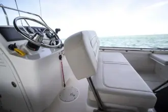 Thumbnail von Boston Whaler 170 Montauk