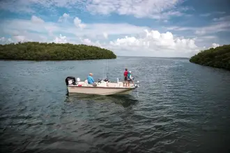 Thumbnail von Boston Whaler 170 Montauk