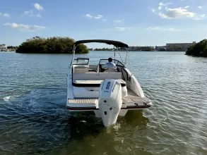 Thumbnail von Sea Ray SPX 210 Dıştan Takma