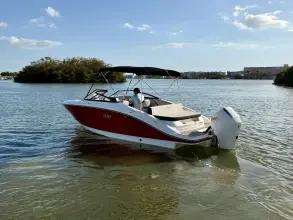 Thumbnail von Sea Ray SPX 210 Dıştan Takma