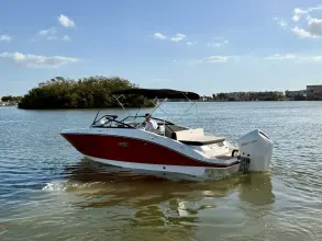 Thumbnail von Sea Ray SPX 210 Dıştan Takma