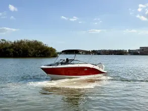 Thumbnail von Sea Ray SPX 210 Dıştan Takma