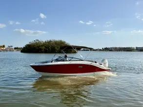 Thumbnail von Sea Ray SPX 210 Dıştan Takma
