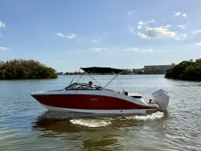 Thumbnail von Sea Ray SPX 210 Dıştan Takma