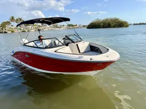 Thumbnail von Sea Ray SPX 210 Dıştan Takma
