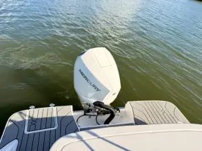 Thumbnail von Sea Ray SPX 210 Dıştan Takma