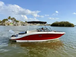 Thumbnail von Sea Ray SPX 210 Dıştan Takma