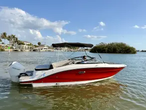 Thumbnail von Sea Ray SPX 210 Dıştan Takma