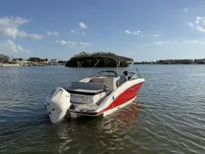 Thumbnail von Sea Ray SPX 210 Dıştan Takma