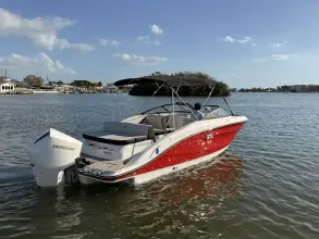 Thumbnail von Sea Ray SPX 210 Dıştan Takma