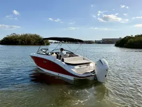 Thumbnail von Sea Ray SPX 210 Dıştan Takma