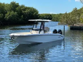 Thumbnail von Boston Whaler 280 Dauntless