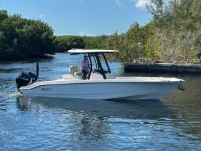 Thumbnail von Boston Whaler 280 Dauntless