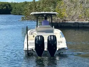 Thumbnail von Boston Whaler 280 Dauntless