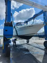Thumbnail von Sea Ray 270 Sundancer