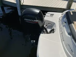 Thumbnail von Sea Ray SPX 190 Outboard
