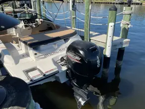 Thumbnail von Sea Ray SPX 190 Outboard