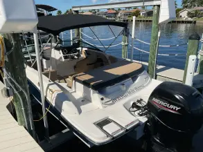 Thumbnail von Sea Ray SPX 190 Outboard