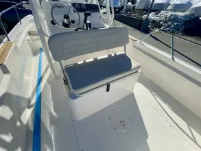 Thumbnail von Boston Whaler 190 Montauk