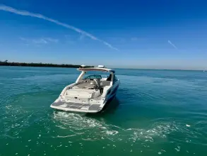 Thumbnail von Sea Ray SLX 350