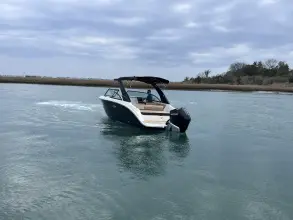Thumbnail von Sea Ray SDX 230 Outboard