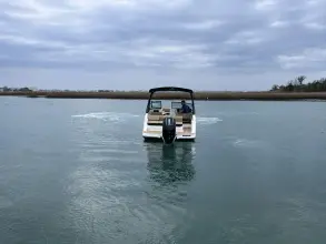Thumbnail von Sea Ray SDX 230 Outboard
