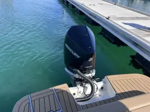 Thumbnail von Sea Ray SDX 230 Outboard