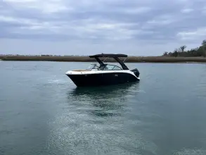 Thumbnail von Sea Ray SDX 230 Outboard