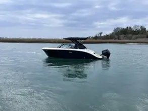Thumbnail von Sea Ray SDX 230 Outboard