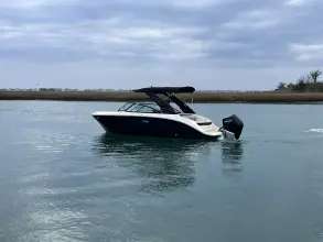 Thumbnail von Sea Ray SDX 230 Outboard