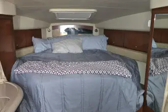 Thumbnail von Sea Ray 340 Sundancer