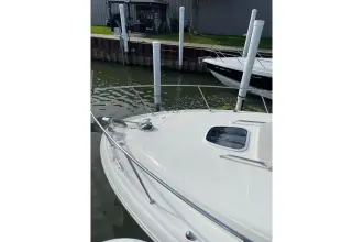 Thumbnail von Sea Ray 340 Sundancer