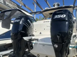 Thumbnail von Sea Ray 320 DA OB
