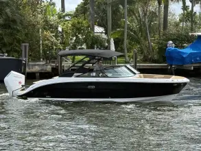 Sea Ray SDX 270 Outboard