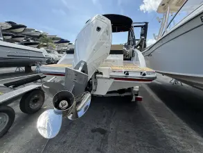 Thumbnail von Sea Ray SPX 210 Outboard