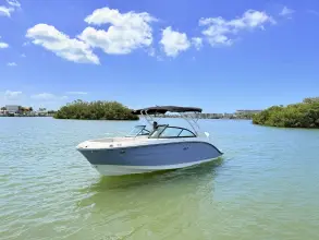 Thumbnail von Sea Ray SDX 230 Outboard