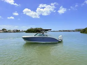 Thumbnail von Sea Ray SDX 230 Outboard