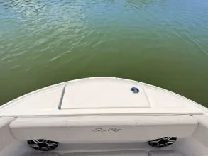 Thumbnail von Sea Ray SDX 230 Outboard