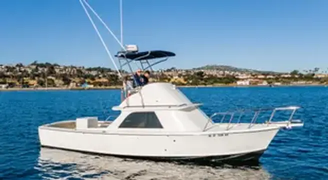 Bertram 31 