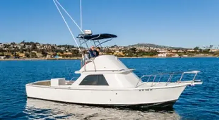 Bertram 31 