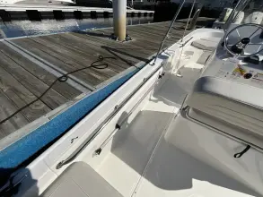 Thumbnail von Boston Whaler 170 Montauk