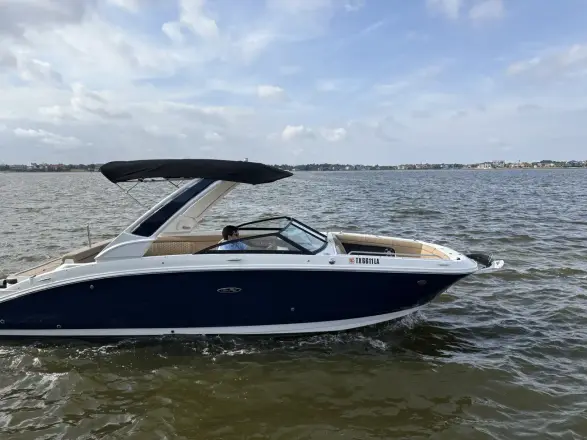 Sea Ray SDX 270 Outboard