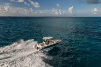 Thumbnail von Boston Whaler 230 Outrage