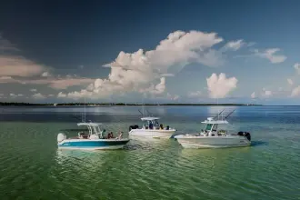Thumbnail von Boston Whaler 230 Outrage