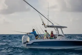Thumbnail von Boston Whaler 230 Outrage