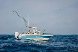 Thumbnail von Boston Whaler 230 Outrage