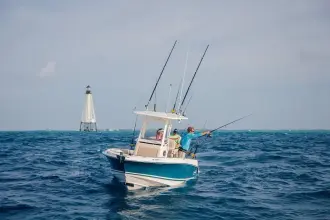 Thumbnail von Boston Whaler 230 Outrage