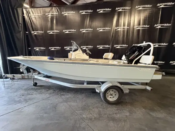 Boston Whaler 170 Montauk