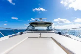 Thumbnail von Boston Whaler 405 Conquest True Companion
