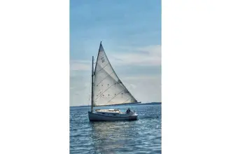 Thumbnail von Sea Ray L550 Fly